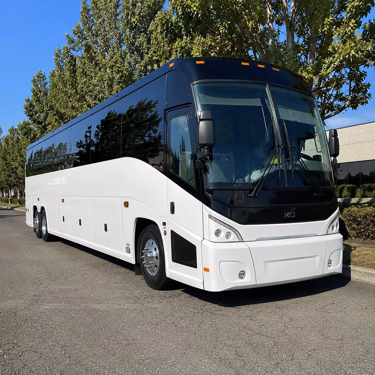 cincinnati 50 passenger charter bus